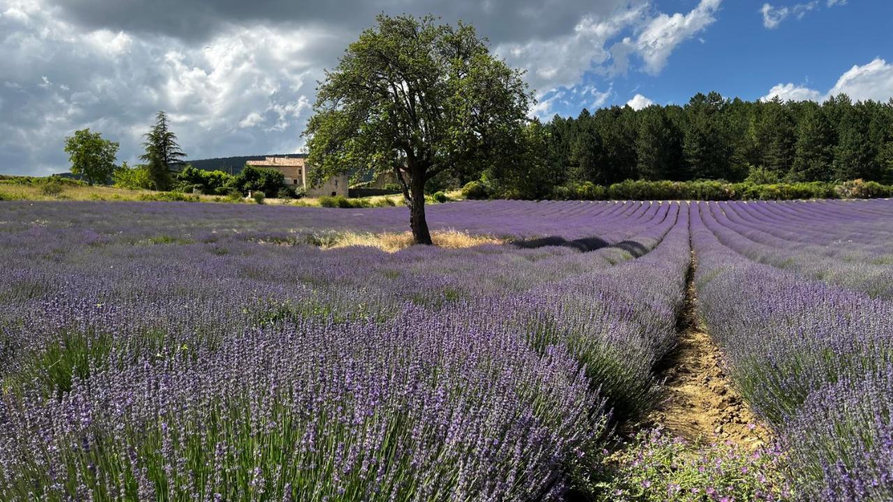ピオラン Santolines En Provence Bed & Breakfast エクステリア 写真