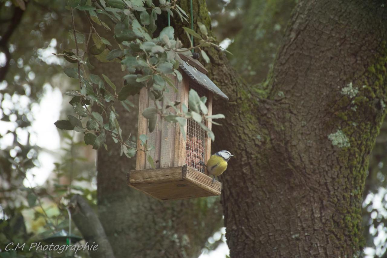 ピオラン Santolines En Provence Bed & Breakfast エクステリア 写真