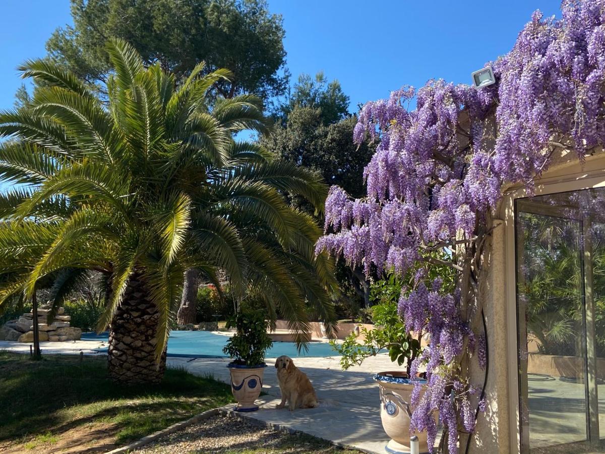 ピオラン Santolines En Provence Bed & Breakfast エクステリア 写真
