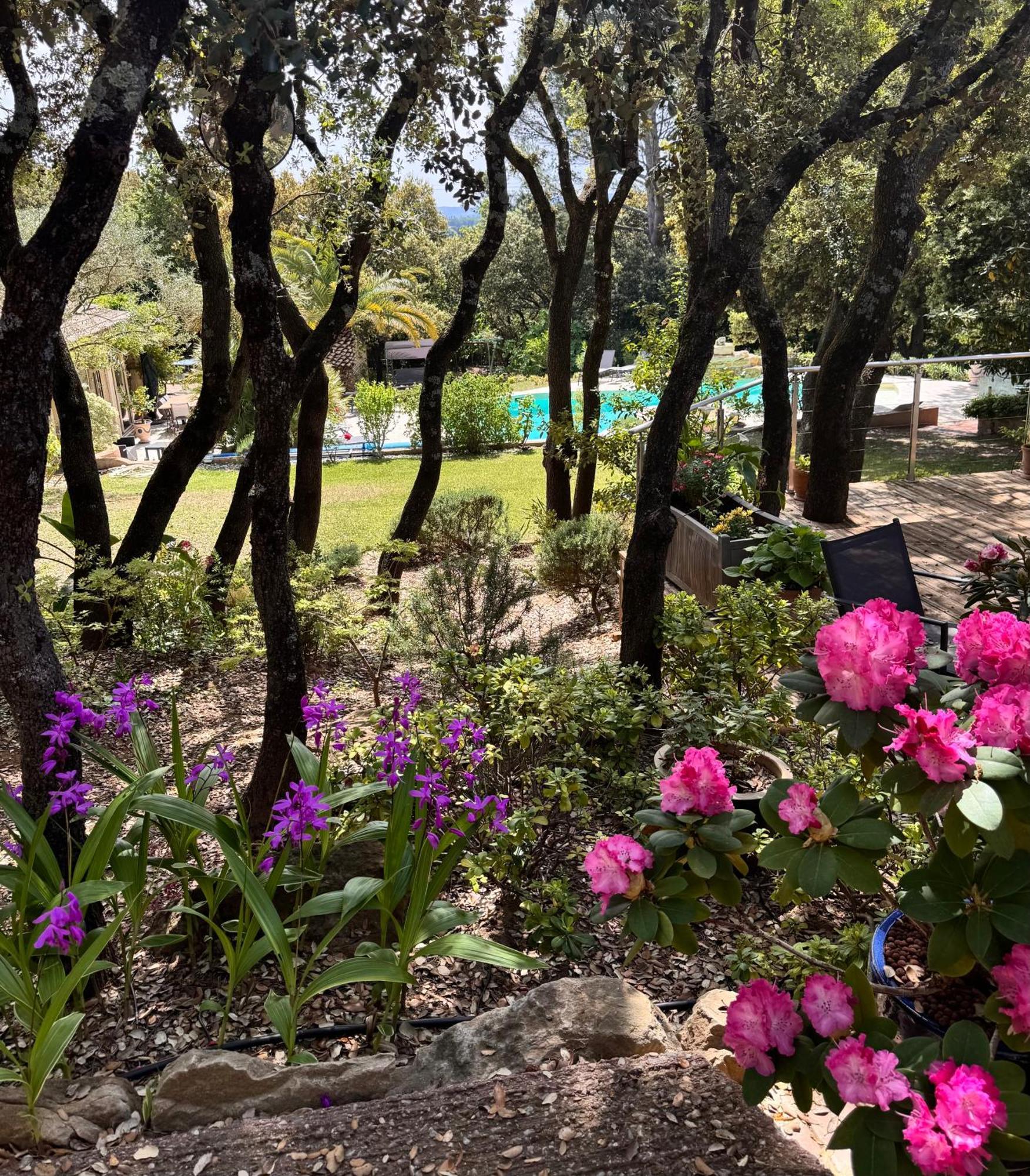 ピオラン Santolines En Provence Bed & Breakfast エクステリア 写真